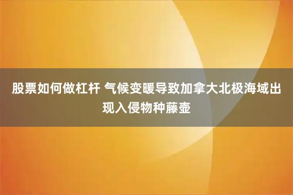 股票如何做杠杆 气候变暖导致加拿大北极海域出现入侵物种藤壶