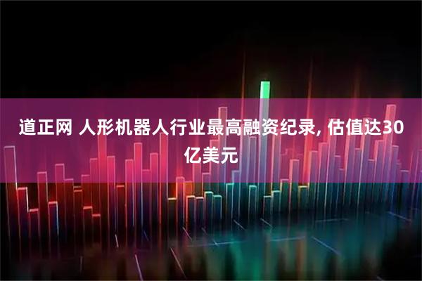 道正网 人形机器人行业最高融资纪录, 估值达30亿美元