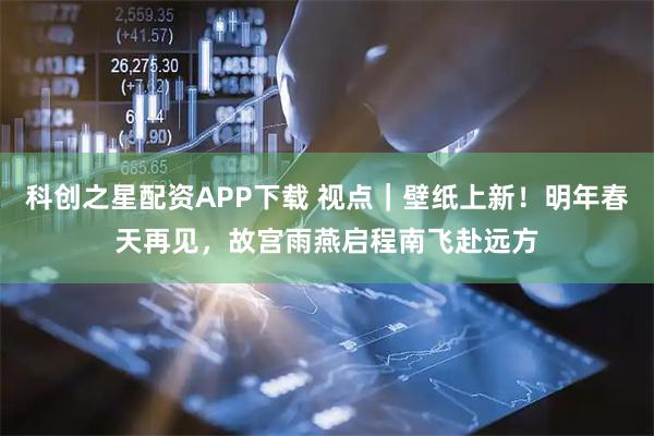 科创之星配资APP下载 视点｜壁纸上新！明年春天再见，故宫雨燕启程南飞赴远方