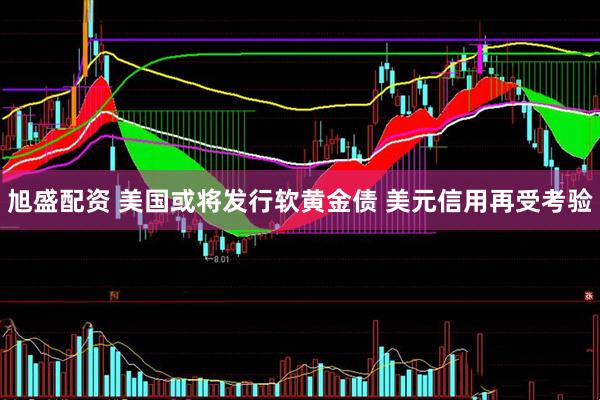 旭盛配资 美国或将发行软黄金债 美元信用再受考验