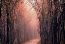 大股票论坛:刚开户不能买哪些股票-创业板解锁未盈利企业上市 更大力度支持优质创新企业